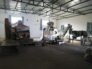Seed production line