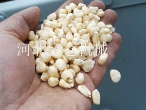 Gravity separator (Process corn seed)